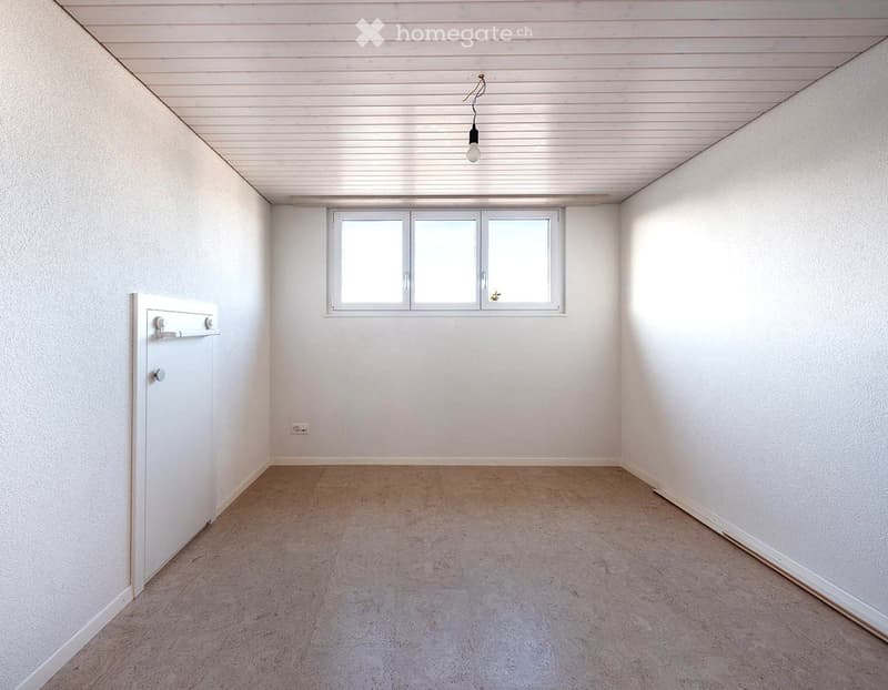Empty room with white walls, carpeted floor, and a single window with white frames. The room features a simple white door with a handle and a light fixture hanging from the ceiling.
