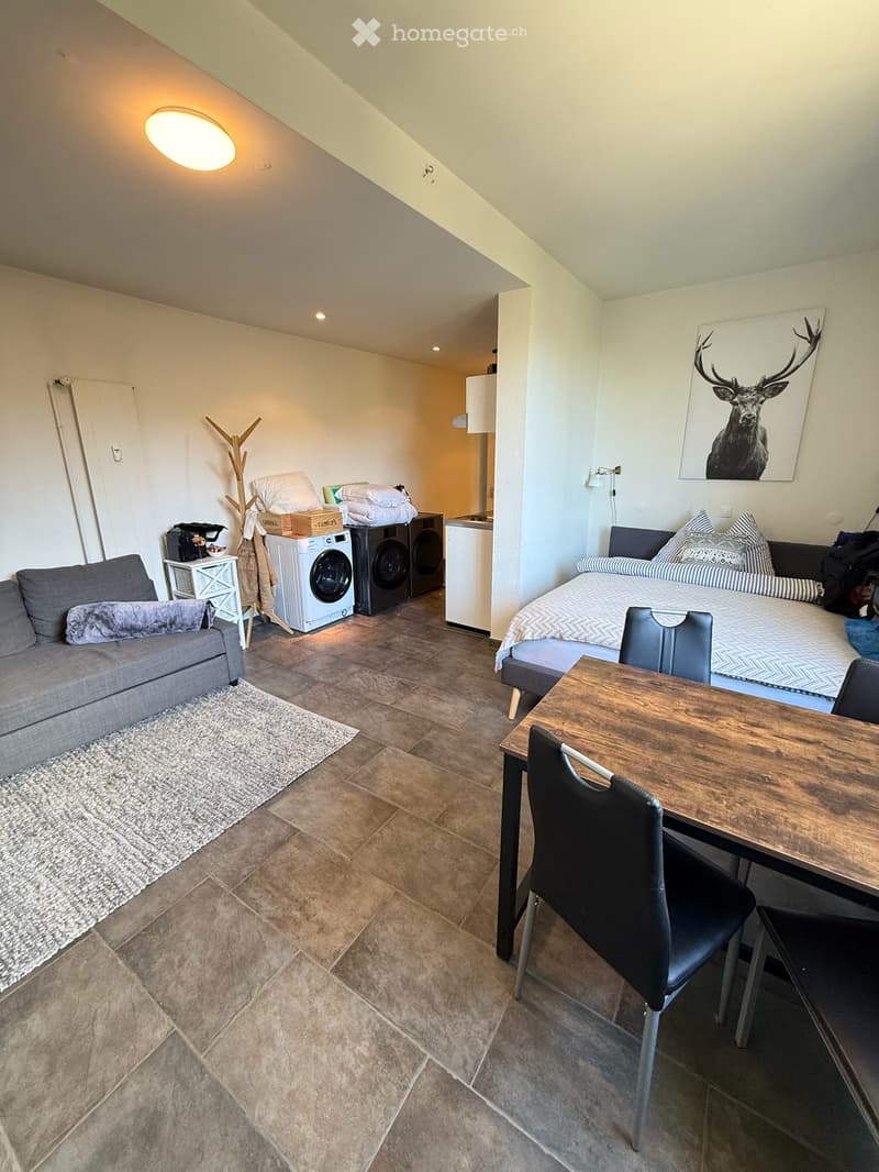 1.5-Zimmer-Wohnung 40m² im 8. Obergeschoss – Zweitwohnung in Arosa (7)