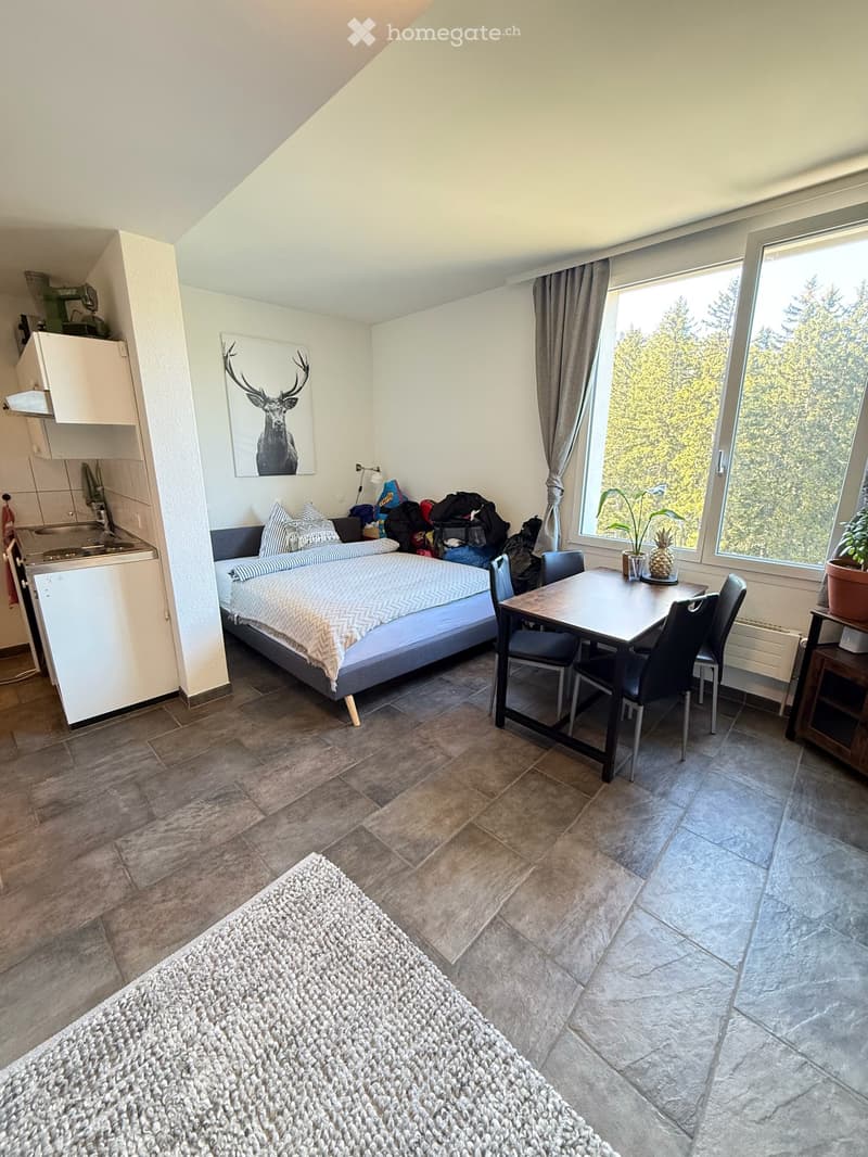 1.5-Zimmer-Wohnung 40m² im 8. Obergeschoss – Zweitwohnung in Arosa (6)