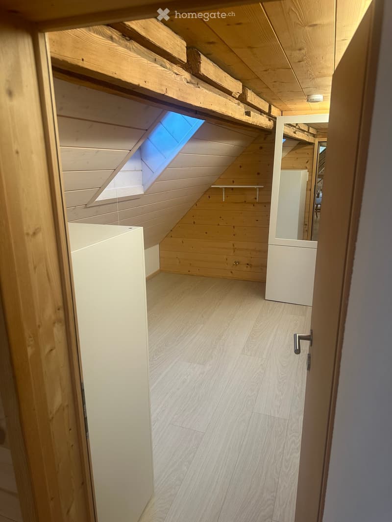 A narrow wooden hallway with slanted wooden ceiling and skylight, featuring light-colored wooden walls and floor, white cabinetry on both sides, and a small shelf in the background.