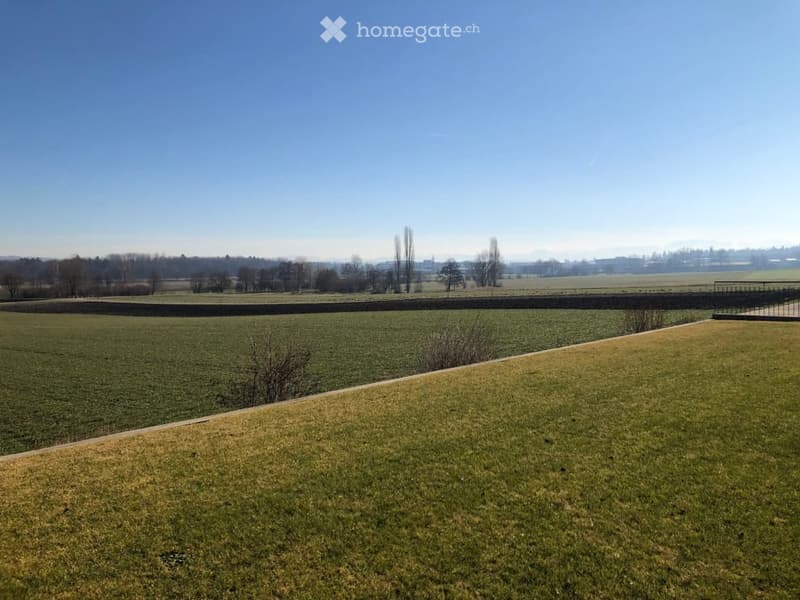 Open grassy field with a stone wall boundary, distant trees, and a clear blue sky.