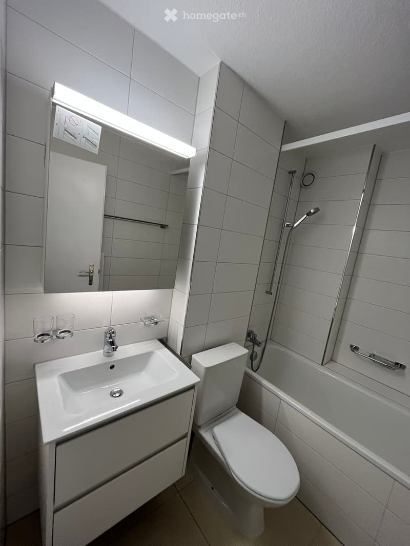 "3-Zimmer-Wohnung in Winterthur-Seen" (7)