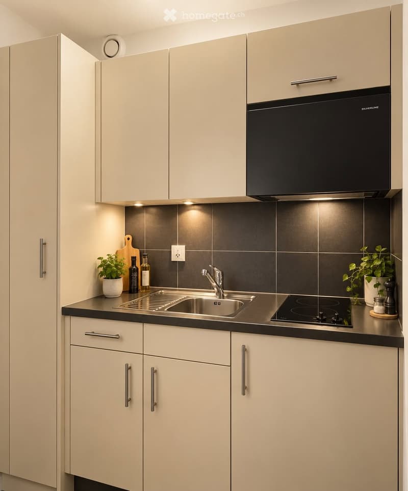 Modern kitchen with light-colored cabinets, stainless steel sink, induction cooktop, and various small appliances and decor items.