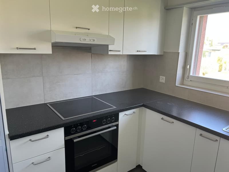 Grosse 4.5 Zimmer Wohnung in Lostorf (2)
