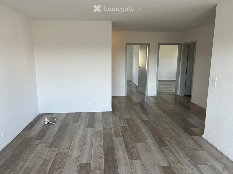 Grosse 4.5 Zimmer Wohnung in Lostorf (10)
