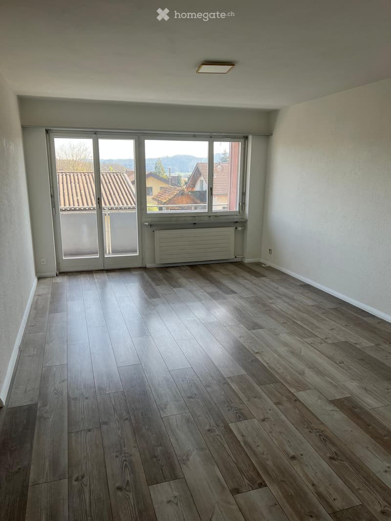 Grosse 4.5 Zimmer Wohnung in Lostorf (14)