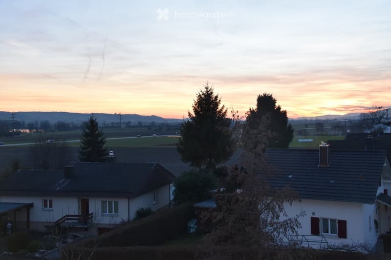 Residential houses with pitched roofs, surrounded by trees and open fields under a sunset sky.
