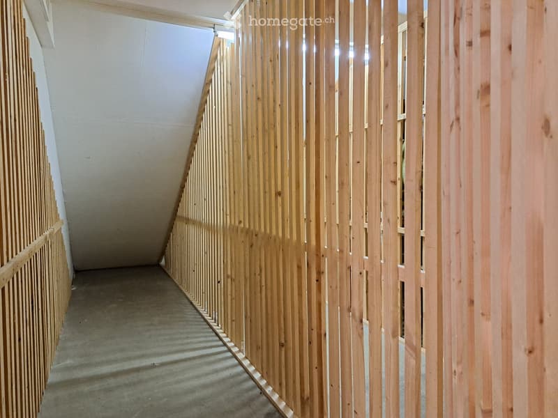 A modern hallway with wooden slatted walls and a concrete floor, featuring a slanted ceiling and natural light coming from the left side.