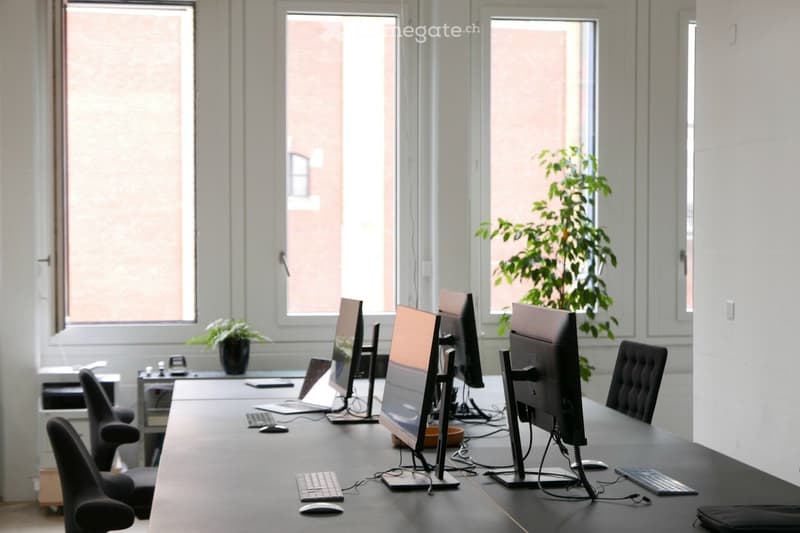 Office meeting room with a long conference table, multiple chairs, laptops, monitors, keyboards, and a potted plant near the windows.