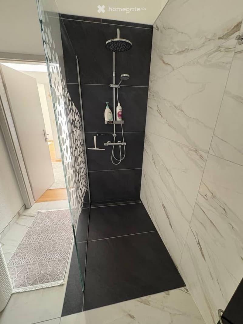 Modern bathroom with a glass-enclosed shower area, black tiles, marble walls, and a shower rack holding two bottles.