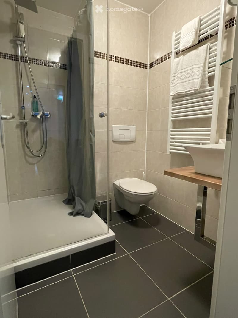 Modern bathroom with a glass-enclosed shower, toilet, sink, and towel rack with towels.