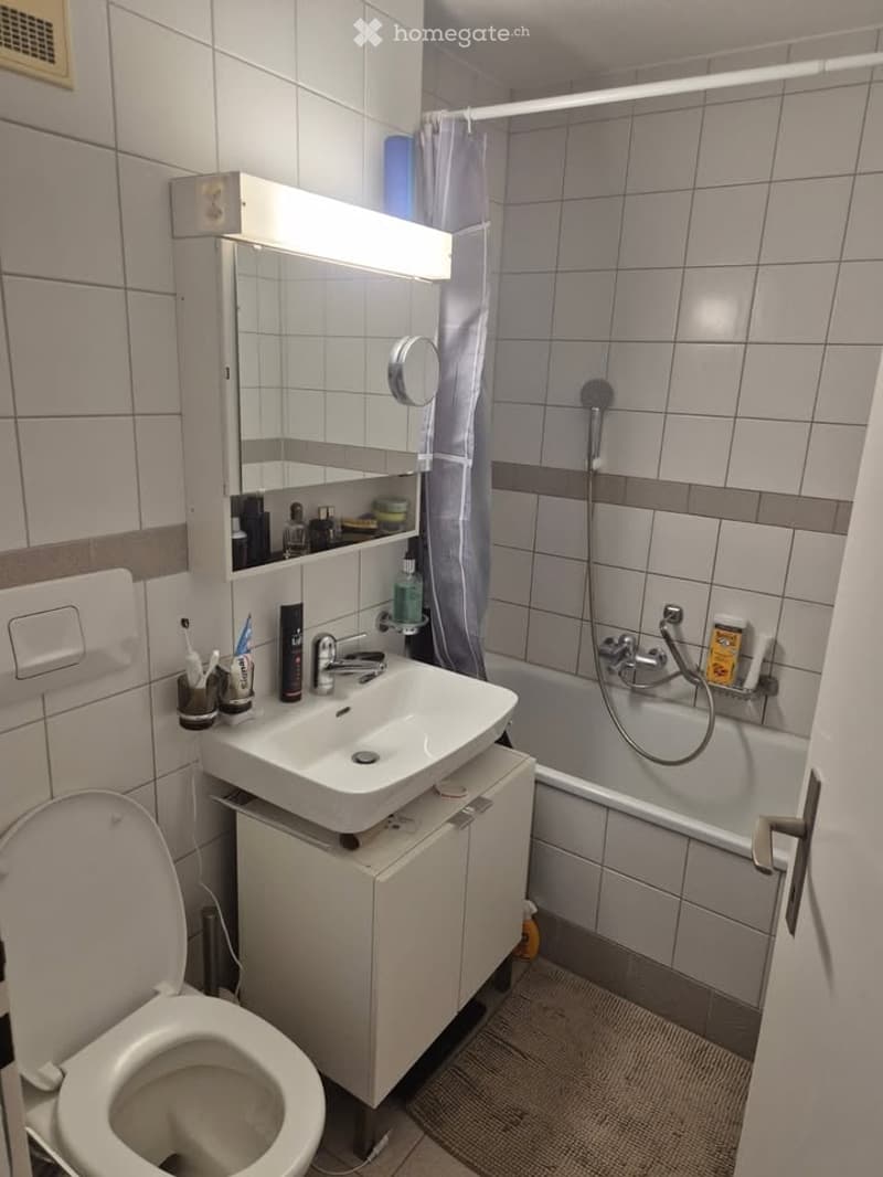 Modern bathroom with white tiles, a sink with a mirror, a toilet, a bathtub with a shower, and various toiletries.