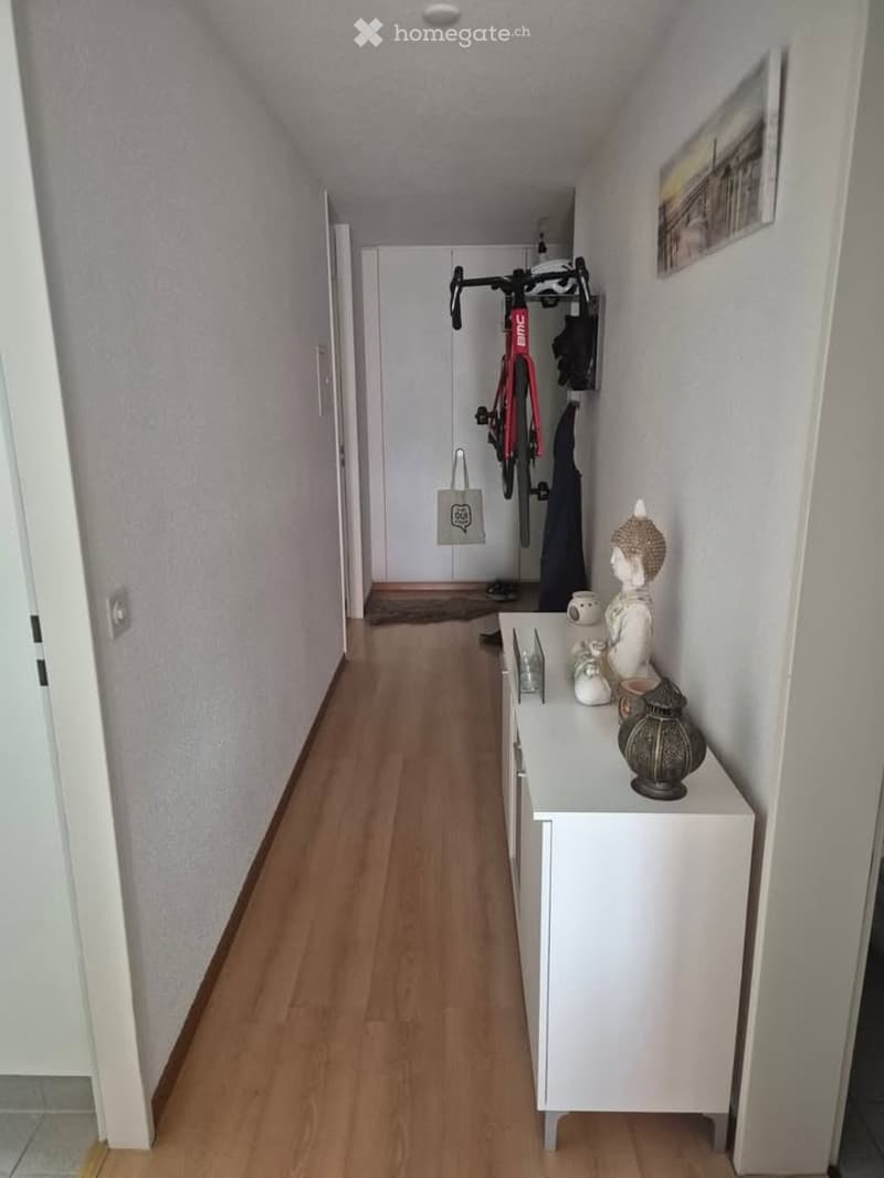 A narrow hallway with light wooden flooring and white walls. A small console table with decorative items sits against one wall, and a bicycle is mounted on the opposite wall. A framed picture hangs on the wall, and a few items, including a bag, are placed