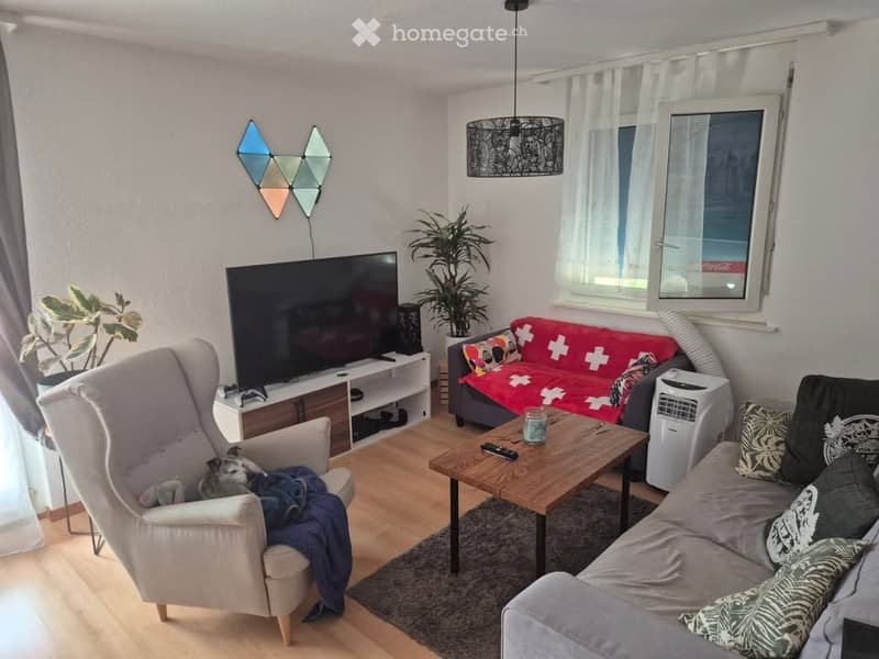 Modern living room with light wooden flooring, a grey sofa with patterned cushions, a wooden coffee table, a TV stand with a flat-screen TV, a comfortable armchair with a blanket, and decorative wall art.