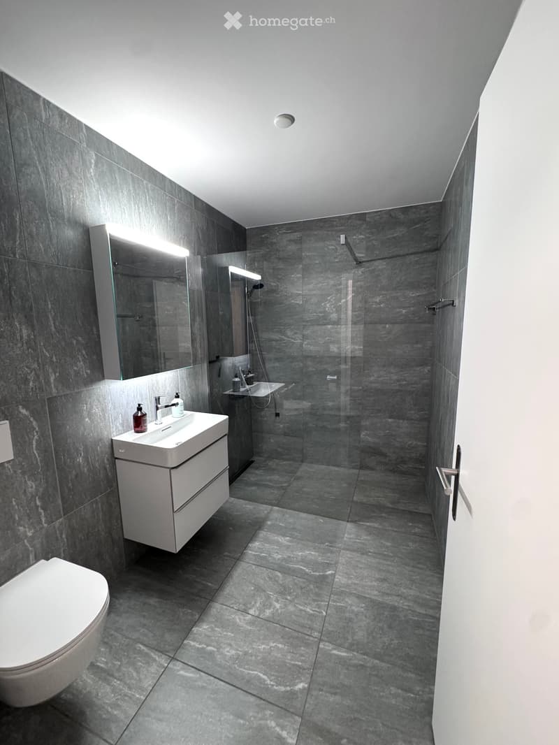 Modern bathroom with dark grey tiles, white sink, toilet, and glass-enclosed shower area.