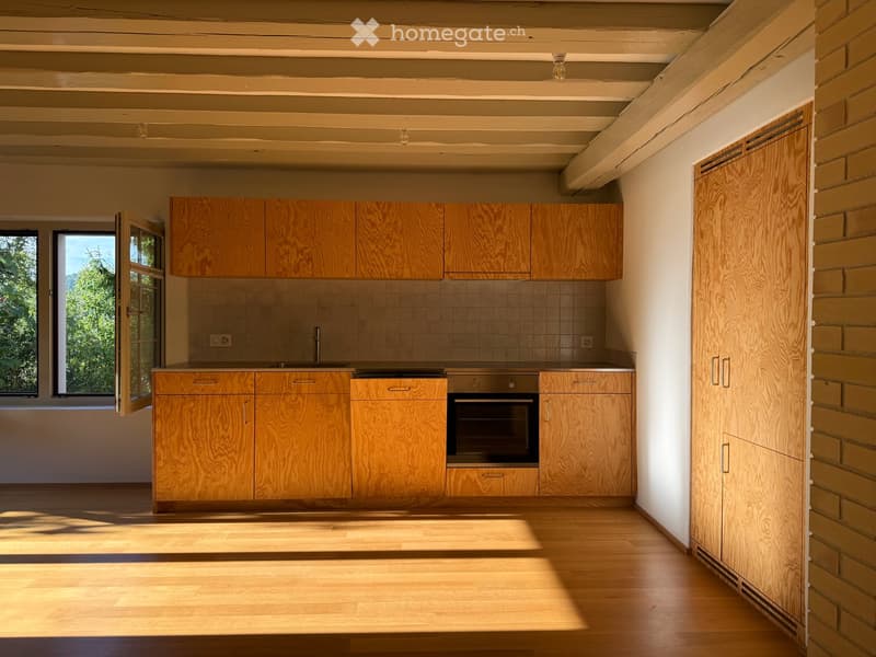 Atelierhaus im Rumstal - 2.5 Zimmerwohnung im Grünen (18)