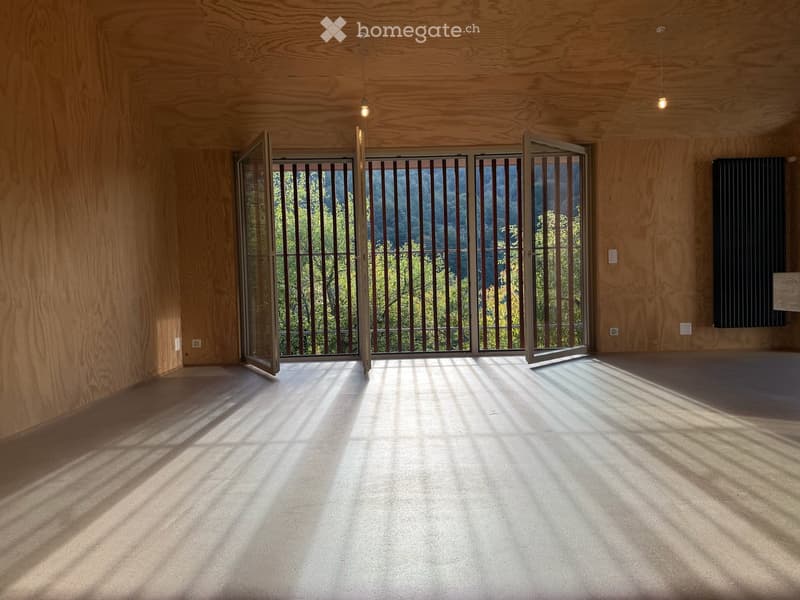Atelierhaus im Rumstal - 2.5 Zimmerwohnung im Grünen (11)