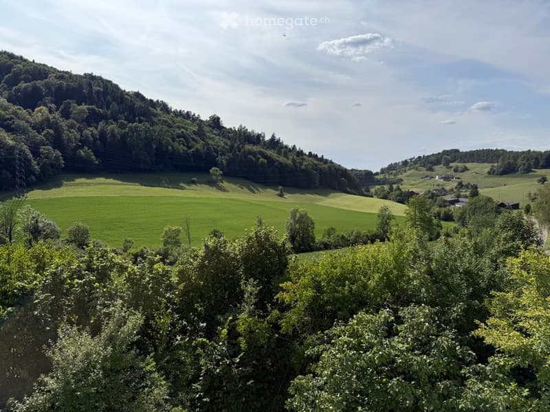 A panoramic view of a lush green landscape with rolling hills, fields, and scattered trees under a partly cloudy sky.
