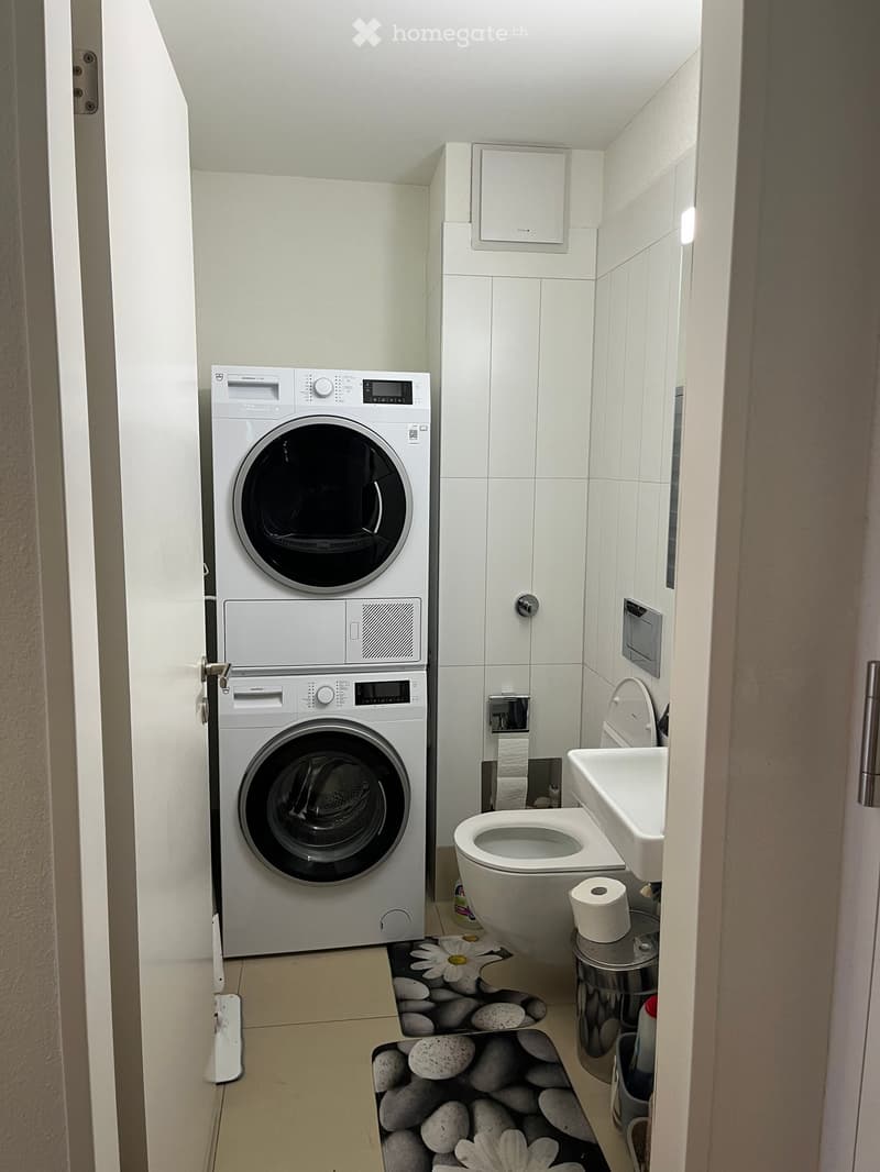 Compact bathroom with a washing machine, toilet, sink, and decorative flower on the floor.