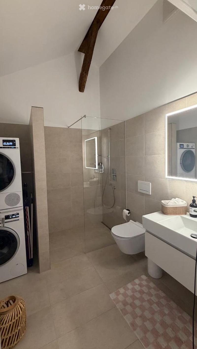 Modern bathroom with a glass-enclosed shower, toilet, sink, and a private washing machine. Features include a wicker basket, a bathroom rug, and a sleek mirror.