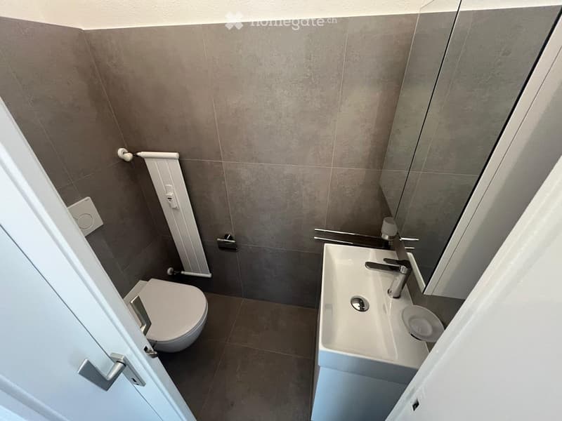 Modern bathroom with a toilet, sink, and faucet, featuring grey tiled walls and a glass shower enclosure.
