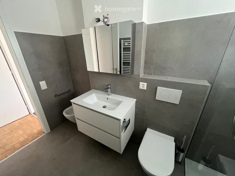 Modern bathroom with a white sink, mirror, and toilet. Grey tiled walls and wooden flooring.