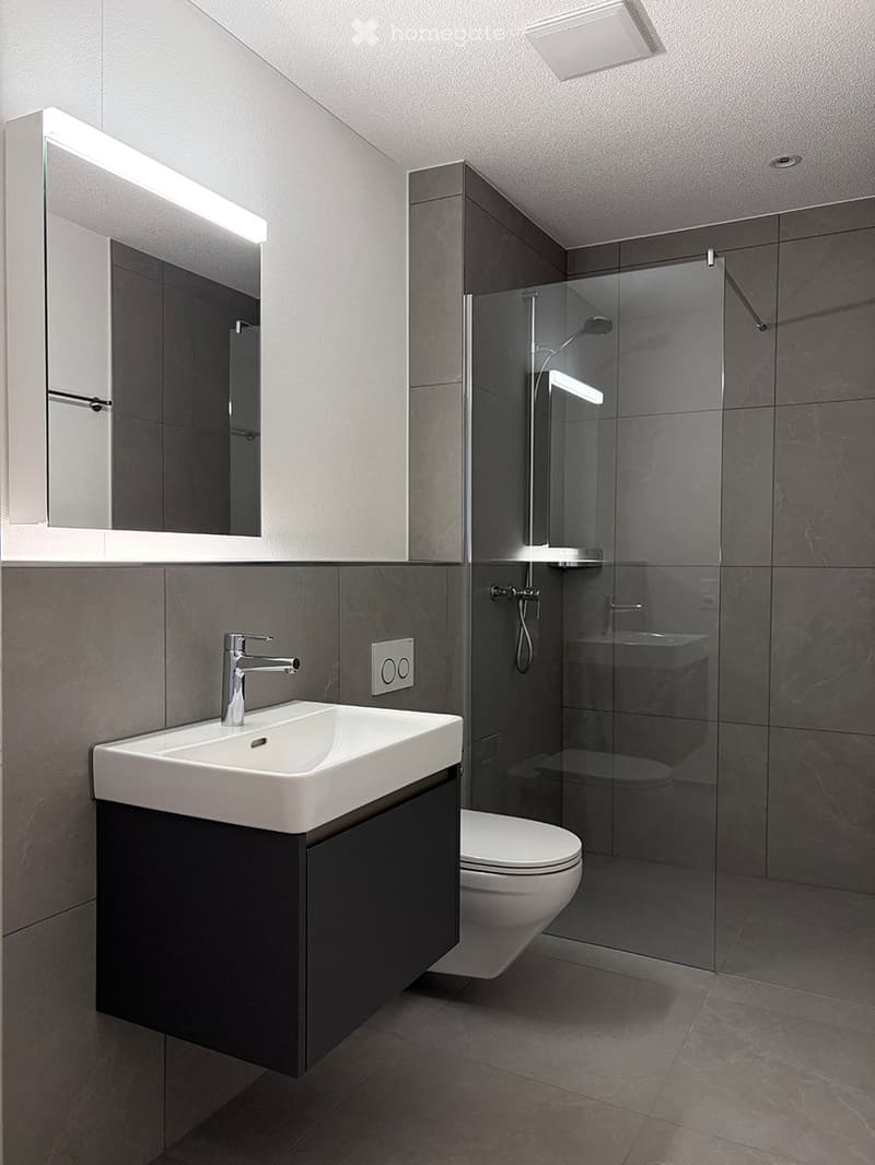Modern bathroom with a white sink, dark vanity, large mirror, glass-enclosed shower, and toilet.