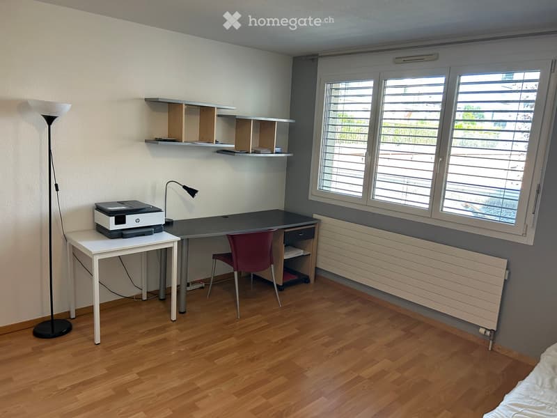 A furnished room with a wooden floor, a desk with a printer, a chair, a floor lamp, and built-in shelves.