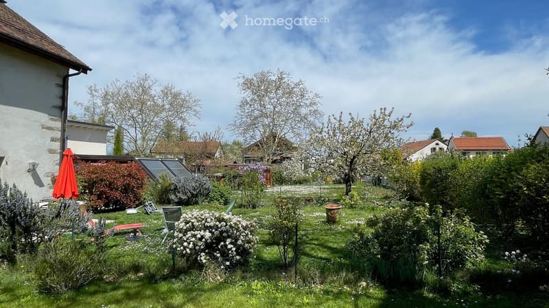 Well-maintained garden with various plants, shrubs, and trees, featuring a red umbrella, a bench, and a small fence.