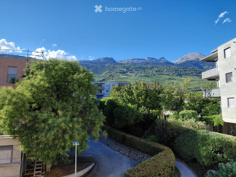 A scenic outdoor view with a winding road surrounded by lush greenery, trees, and distant mountains under a clear blue sky.