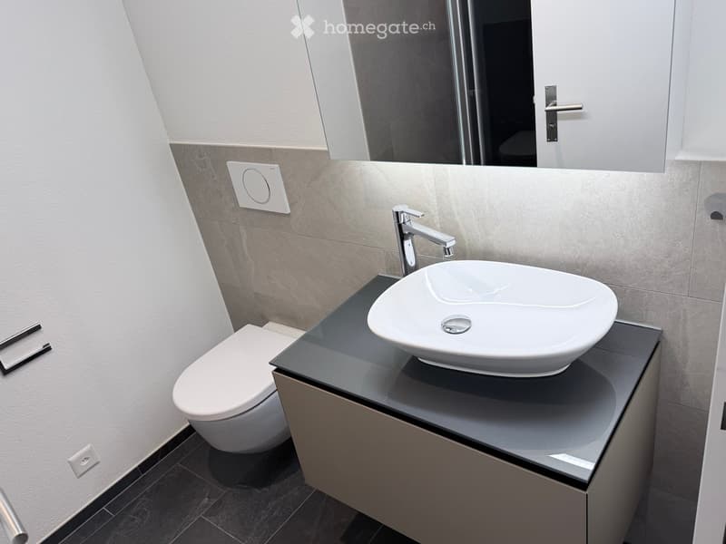 Modern bathroom with a white sink, chrome faucet, and a toilet. The sink sits on a dark countertop with a mirrored backsplash. The walls are tiled in neutral tones, and the floor is dark.