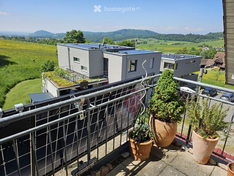 Balcony with metal railing, several large terracotta pots with plants, overlooking a green landscape with modern houses and solar panels.