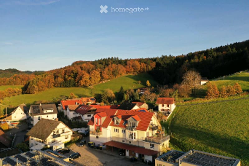 Aerial view of a residential area with multiple houses, surrounded by green fields and trees.