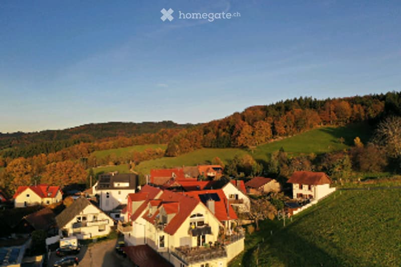 Aerial view of a residential area with multiple houses, surrounded by green fields and trees.