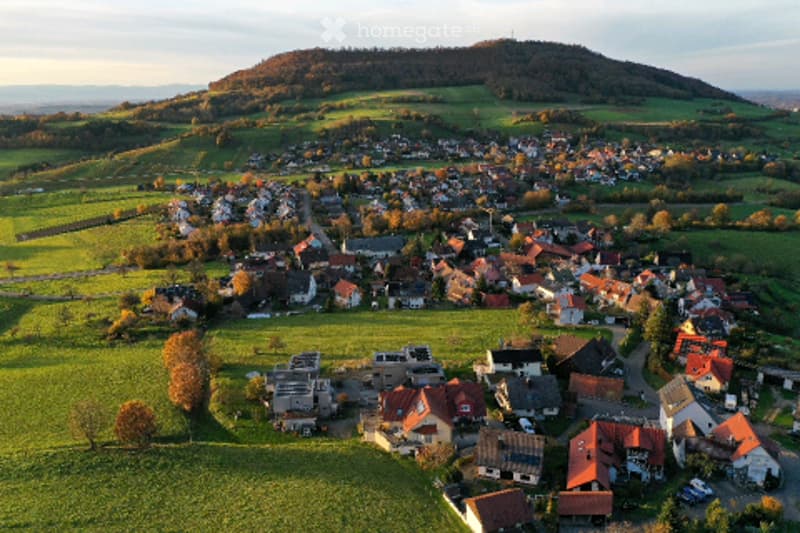 Aerial view of a small village with numerous houses, surrounded by green fields and a forested hill in the background.