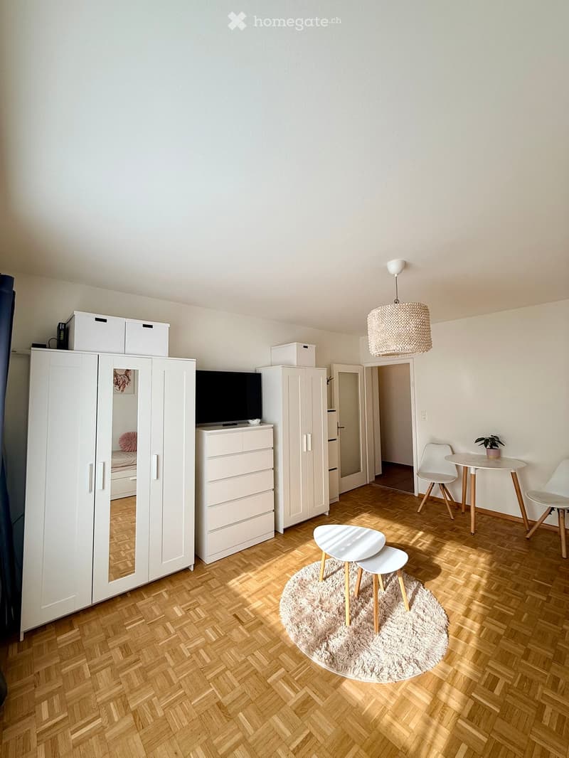 A modern, well-lit room with wooden flooring, a large wardrobe, a television on a stand, a small round table with chairs, a round stool set on a fluffy rug, and a small plant on a side table.