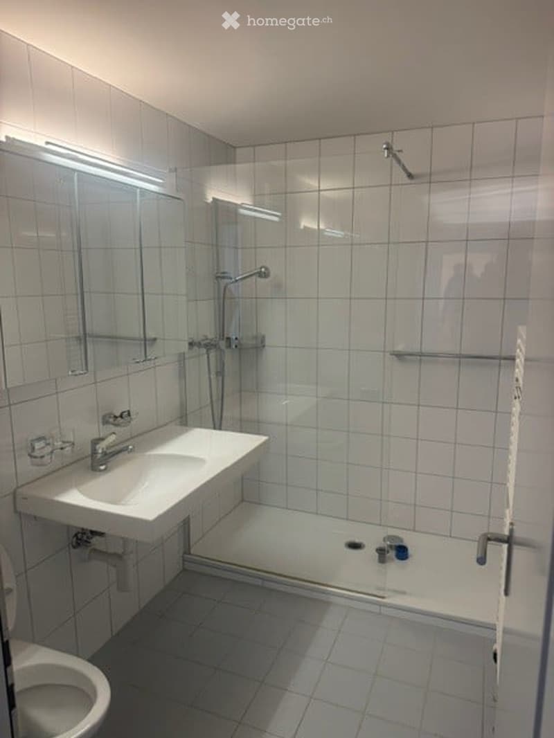 Modern bathroom with white tiled walls and floor, a sink with a mirror, a toilet, and a glass-enclosed shower area.