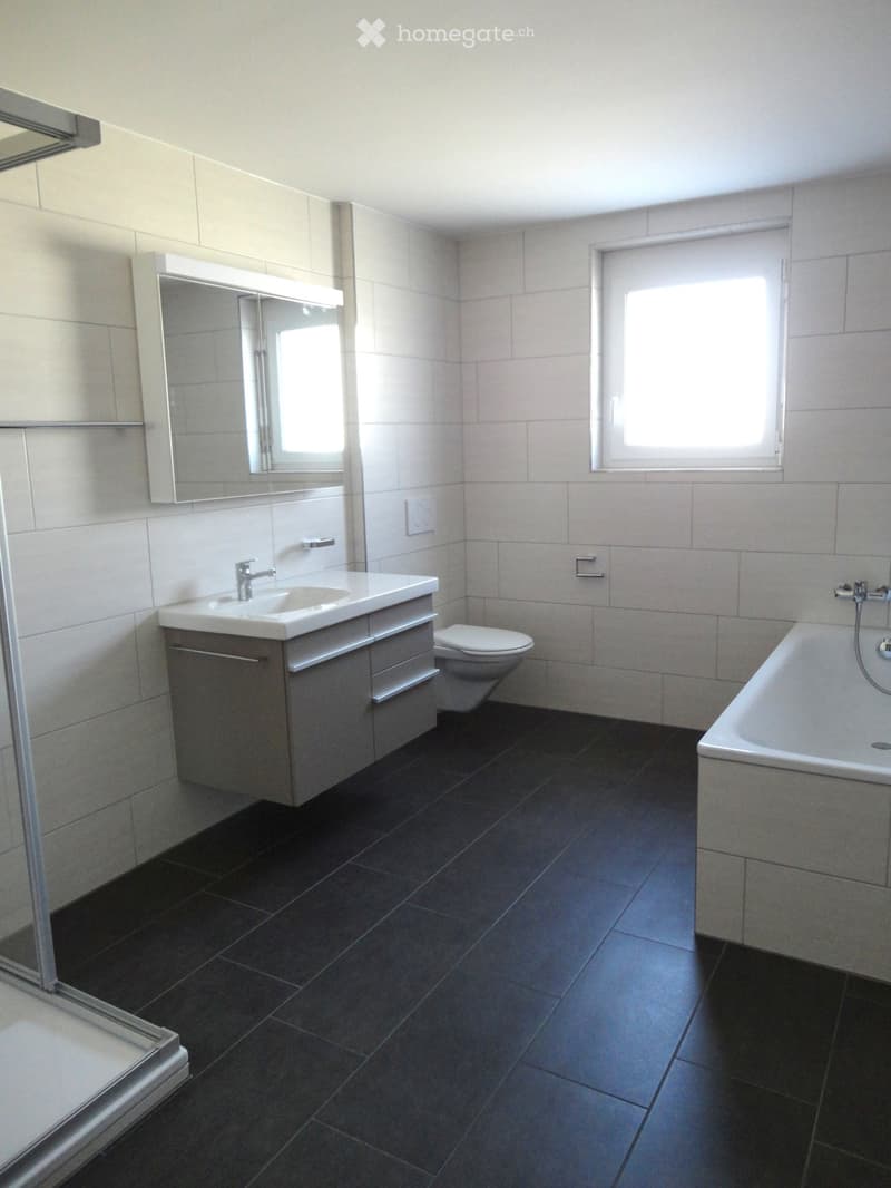 Modern bathroom with dark tiled floor, white tiled walls, a sink with a cabinet, a toilet, a bathtub, and a large mirror above the sink.