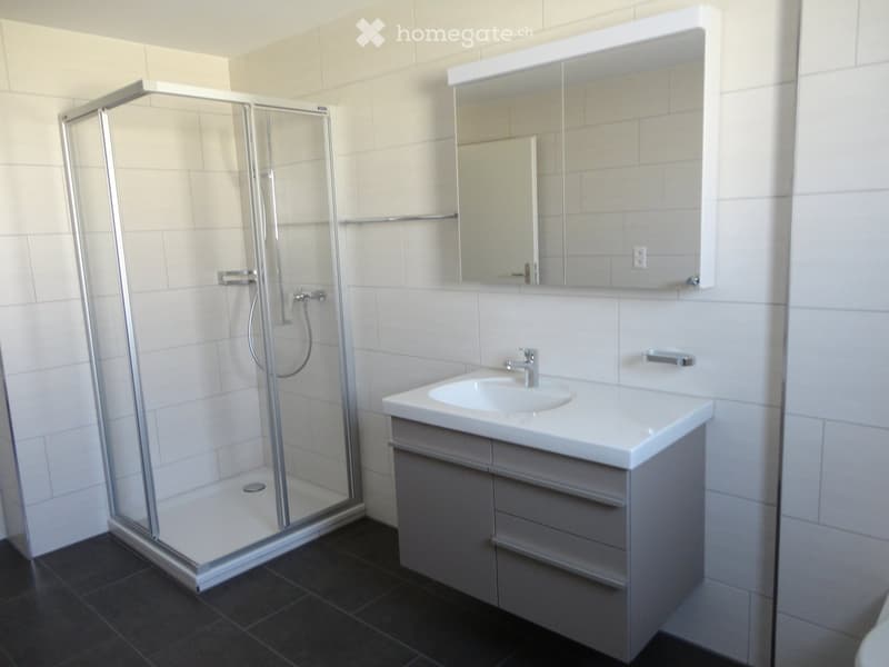 Modern bathroom with a white sink, mirror, and glass-enclosed shower stall.