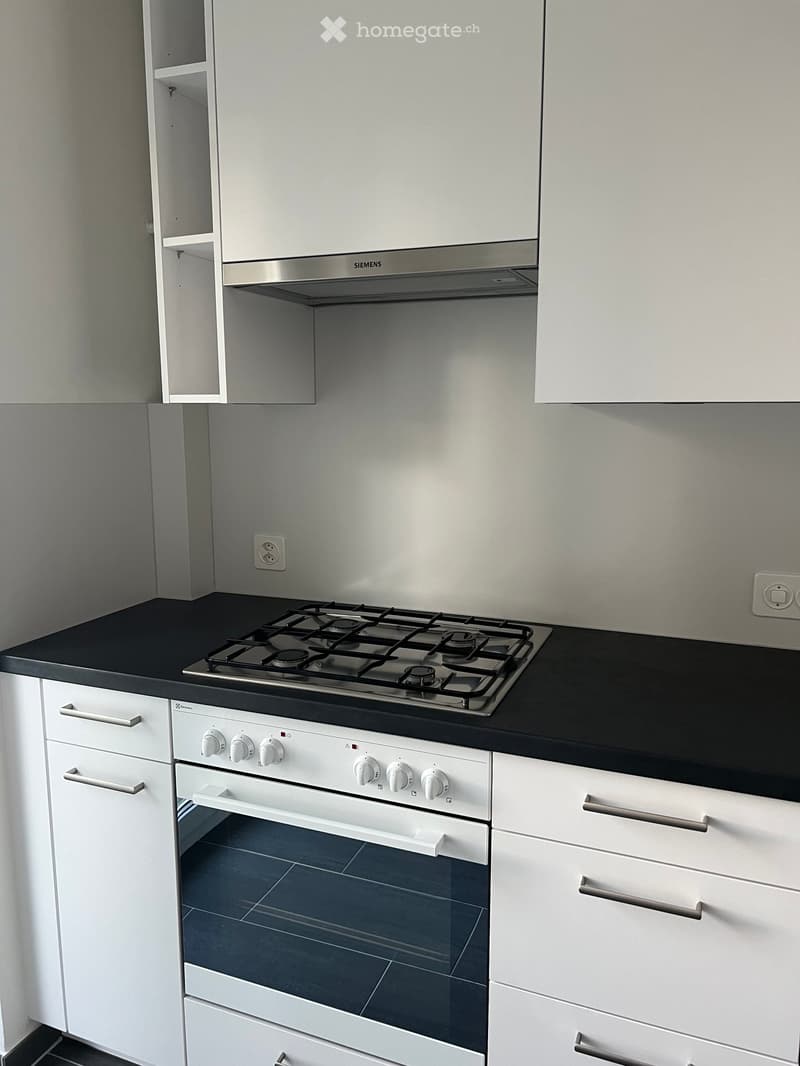 Modern kitchen with white cabinets, black countertop, gas stove, oven, and a Siemens range hood.