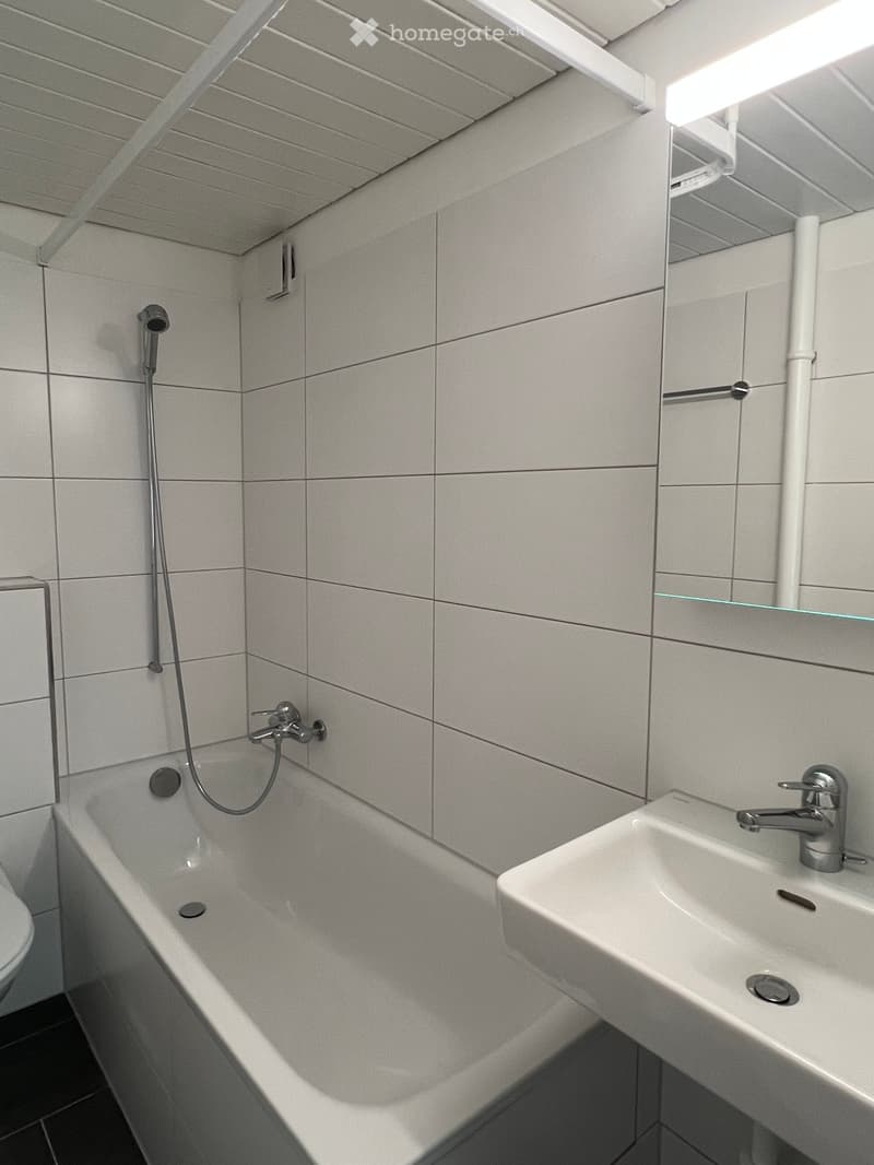 Modern bathroom with a bathtub, sink, and toilet. Features grey tiled walls, a shower hose, and a sleek faucet design.