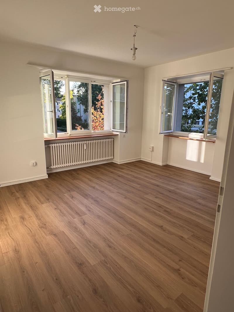 Empty room with wooden flooring, white walls, large windows with open shutters, radiator, and a hanging light fixture.