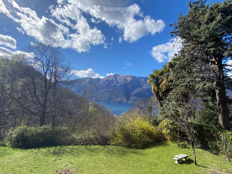 A grassy garden area with trees and shrubs, overlooking a lake and mountain range.