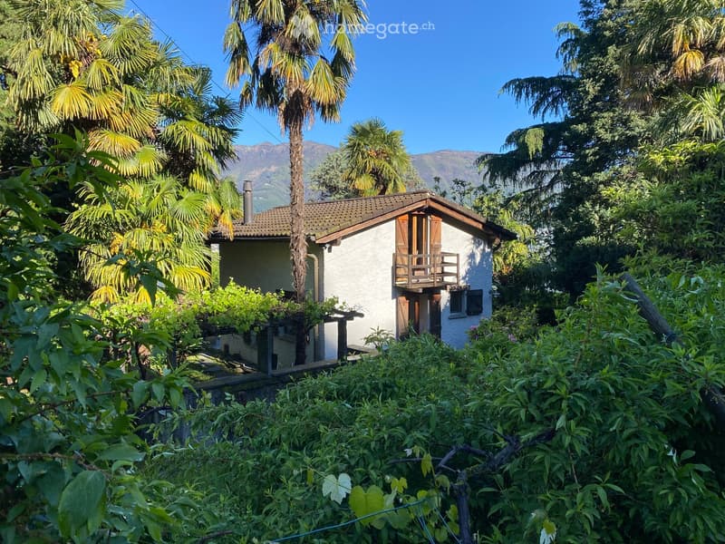 A small white house with a tiled roof, surrounded by lush greenery and palm trees, with a small balcony and wooden shutters.
