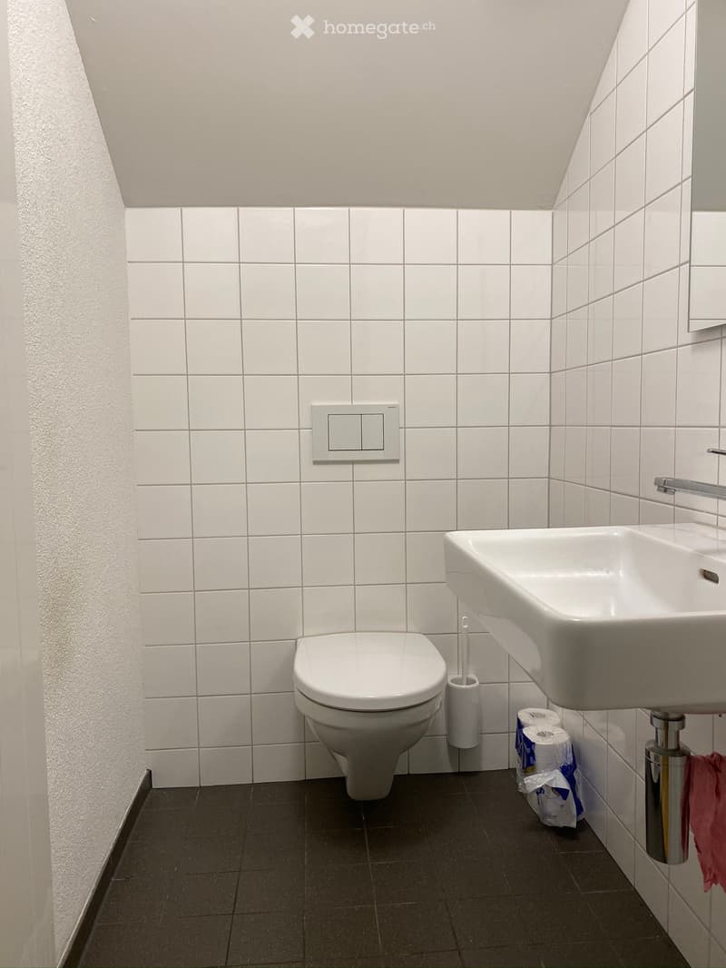 Modern bathroom with white tiled walls, dark tiled floor, toilet, sink, and a toothbrush holder. Toilet paper and a towel are visible.