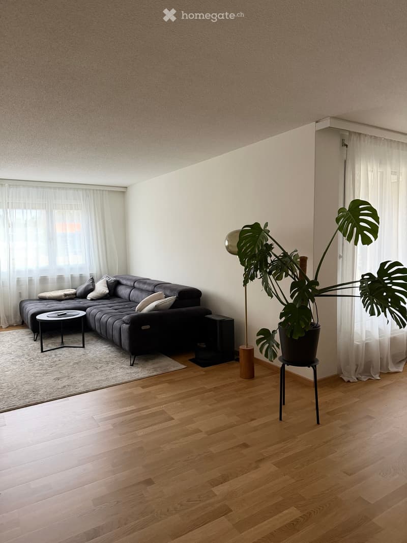 Modern living room with a dark grey sectional sofa, white throw pillows, a small black coffee table, a floor lamp, and a large leafy plant in a pot. The room features light wooden flooring and large windows with white curtains.