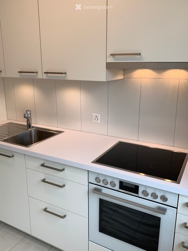 Modern kitchen with white cabinets, stainless steel sink, induction cooktop, and built-in oven.