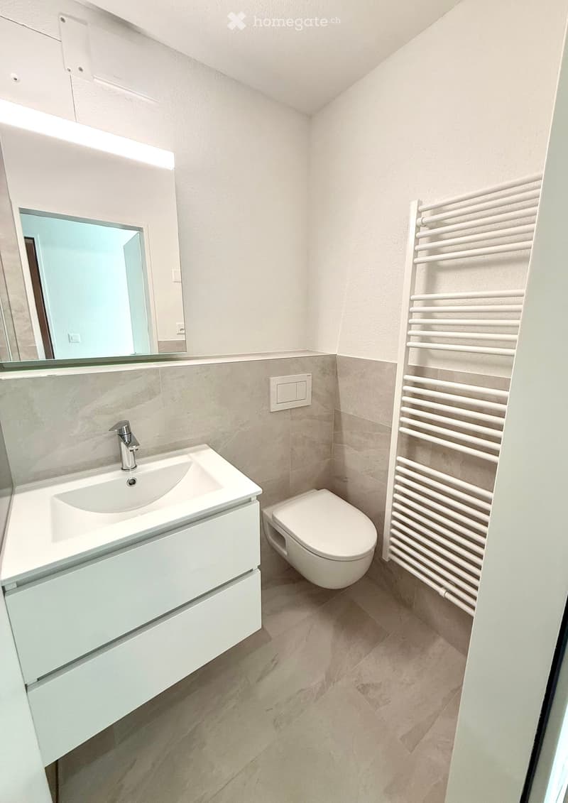 Modern, compact bathroom with a white sink, toilet, large mirror, and a white radiator. The walls are light-colored with a sleek design.