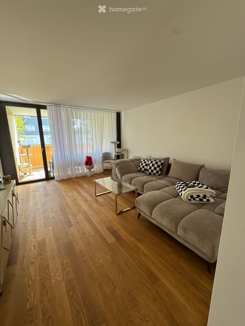 Modern living room with wooden flooring, large sliding glass door leading to a balcony, grey sectional sofa with throw blanket, glass coffee table, and a small cat tree in the corner.