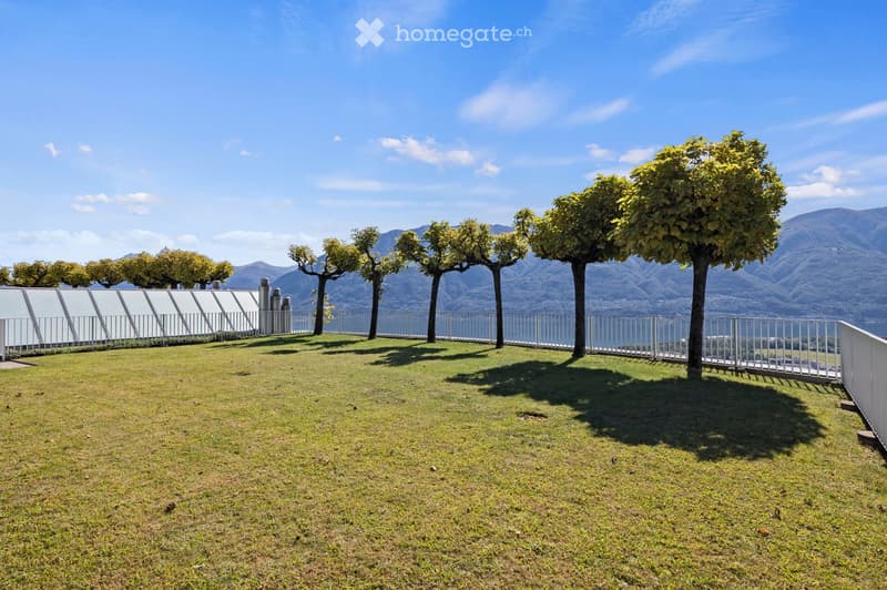 Open terrace with well-maintained lawn, metal railings, rows of trees, scenic view of a lake and mountains